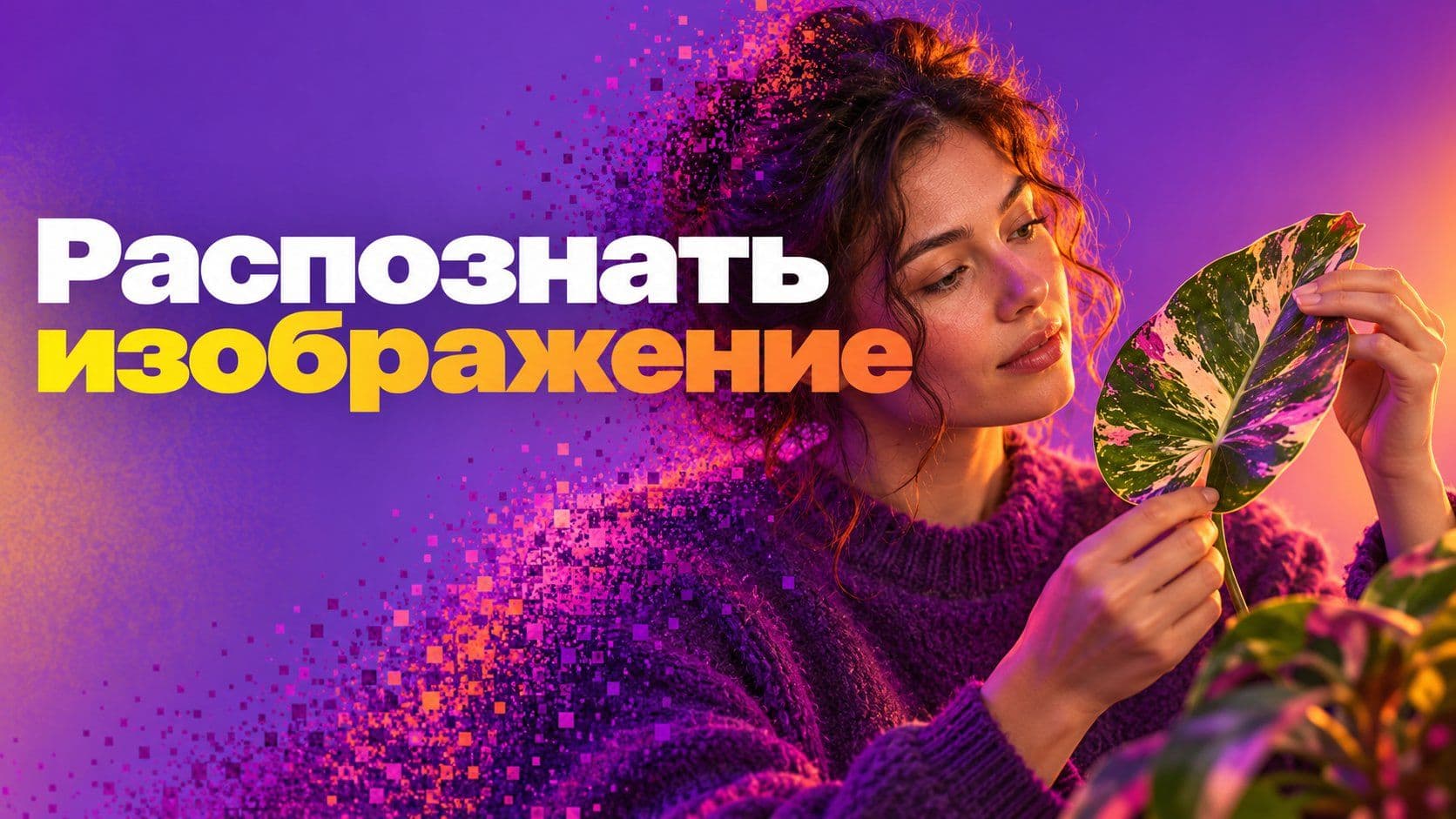 Какая нейросеть распознает изображение и как снять предмет для неё